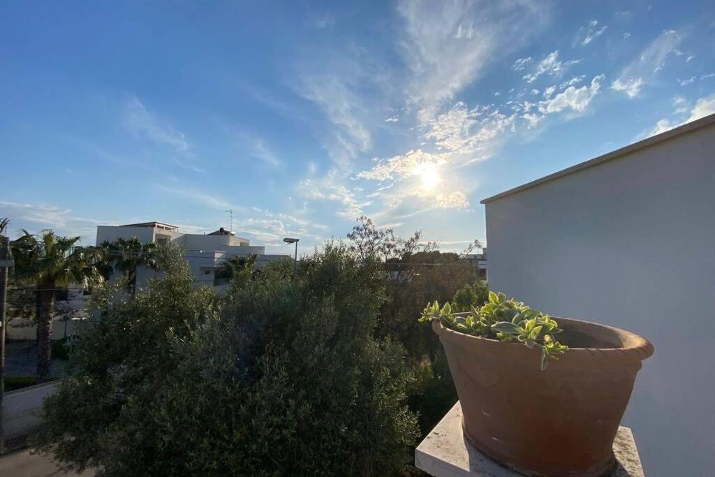 Villa Fiorella Porto Cesareo Primo Piano 2 Locali Kültér fotó